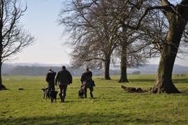 Training at Bunny hollow