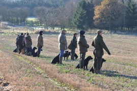 training group winter