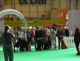 429286_10150721786252154_704327153_11210160_37121568_n