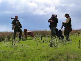 206190_10150906415838925_117112859_n