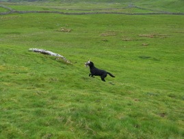 600447_10150906409413925_1220909255_n