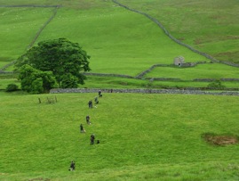 533405_10150906408828925_125618038_n