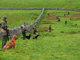 551780_10150906407733925_1058573883_n