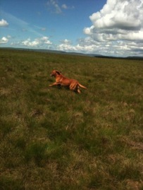 484359_10151037395457154_1895499566_n