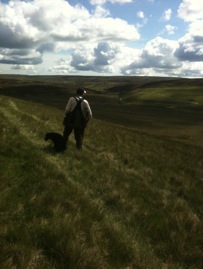 229901_10151037399737154_780804134_n