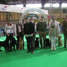 crufts