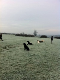 405802_10150565054133340_840888339_8963511_1758731104_n