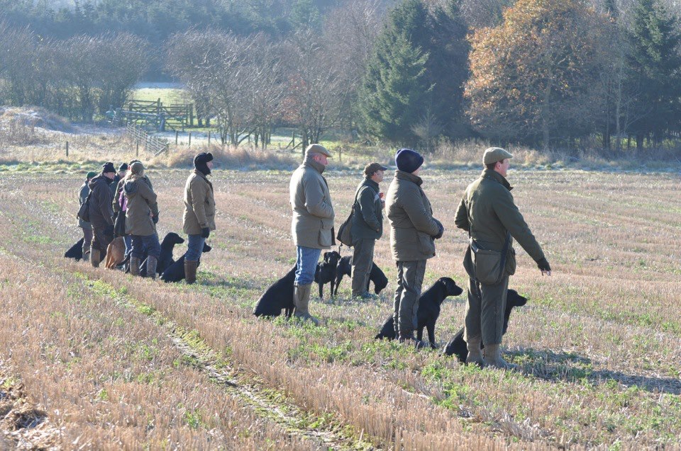 training group winter